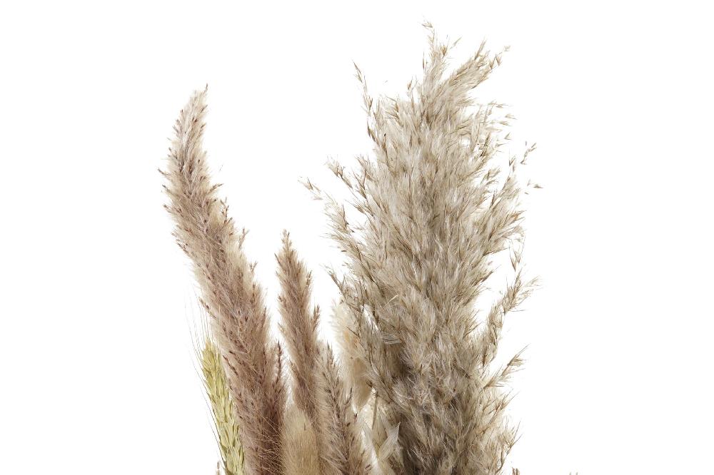 Dekodonia Pack De 2 Ramos Flor Seca 12x3x53 Marron