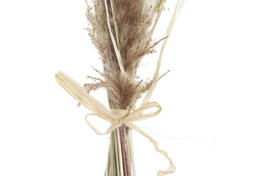 Dekodonia Pack De 2 Ramos Flor Seca 12x3x53 Marron