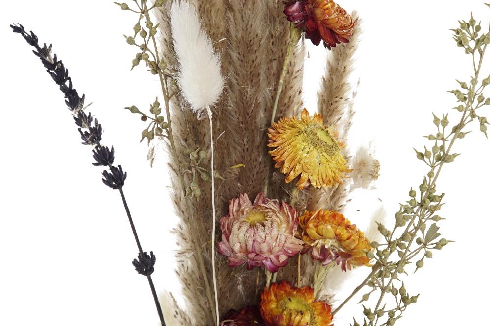 Dekodonia Pack De 2 Ramos Flor Seca 8x3x55 Marron