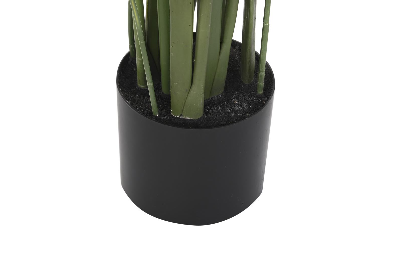 Dekodonia PLANTA AVE DEL PARAÍSO