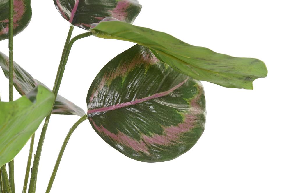 Dekodonia Planta Pe 30x30x58 Verde