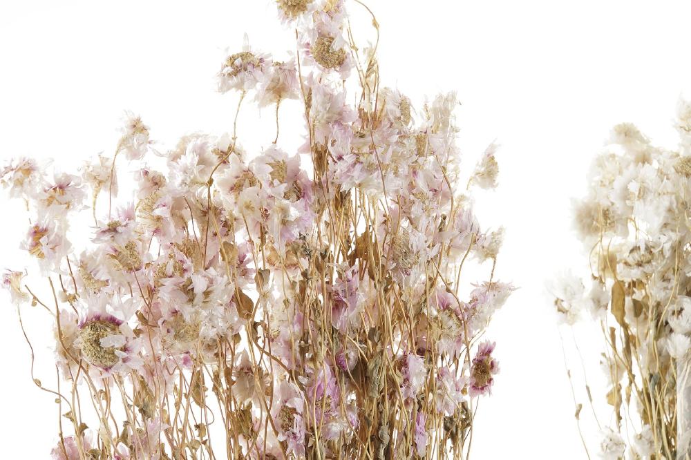 Dekodonia Ramo Flor Seca 16x3x60 2 Surt