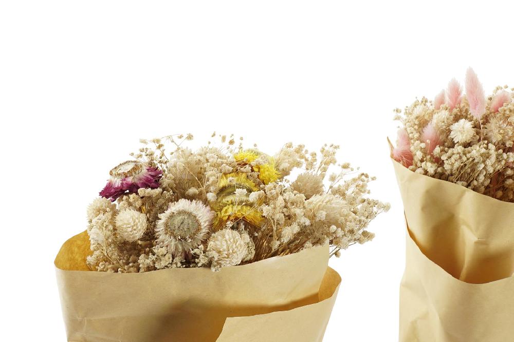 Dekodonia Ramo Flor Seca 8x7x44 2 Surt