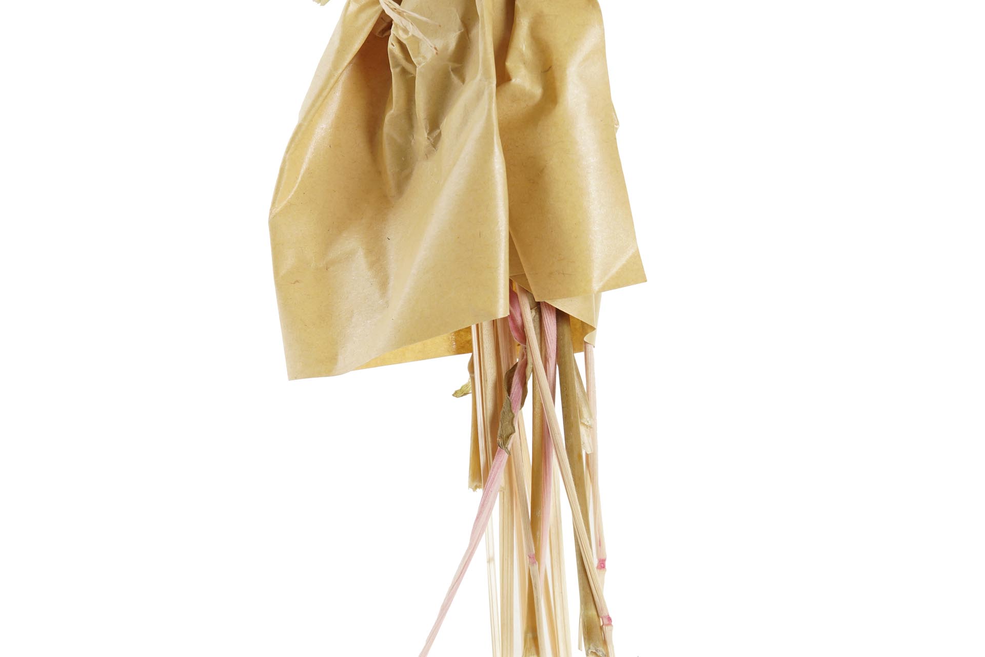 Dekodonia Ramo Flor Seca 8x7x44 2 Surt