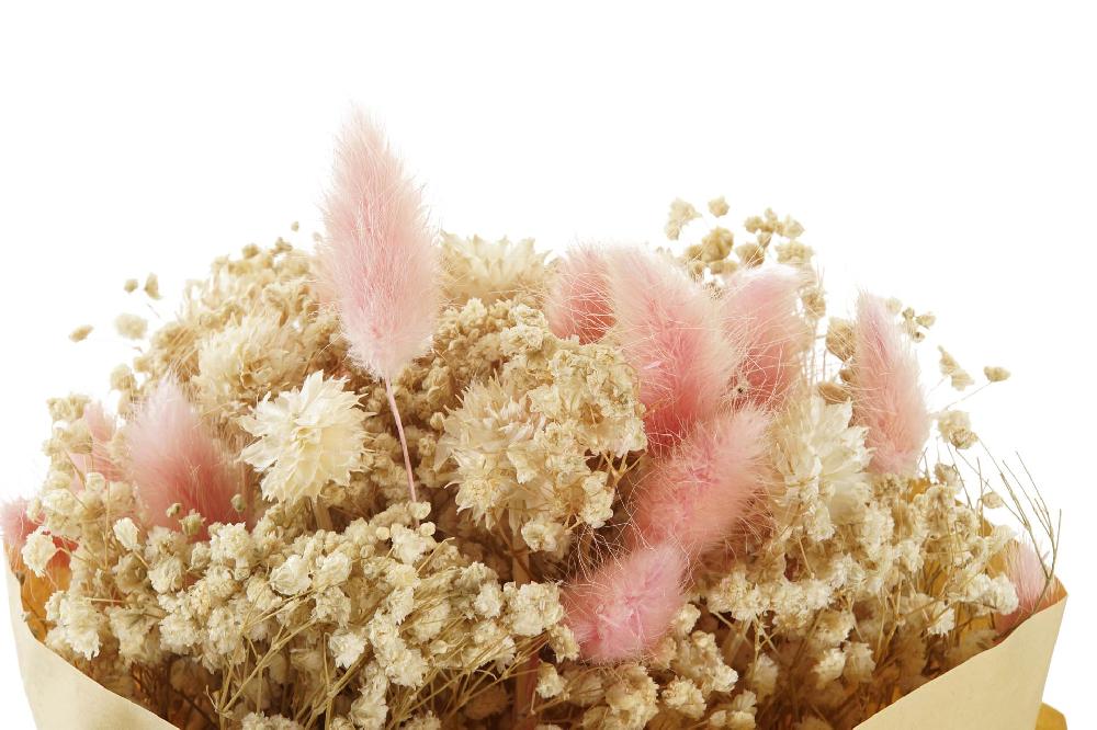 Dekodonia Ramo Flor Seca 8x7x44 2 Surt