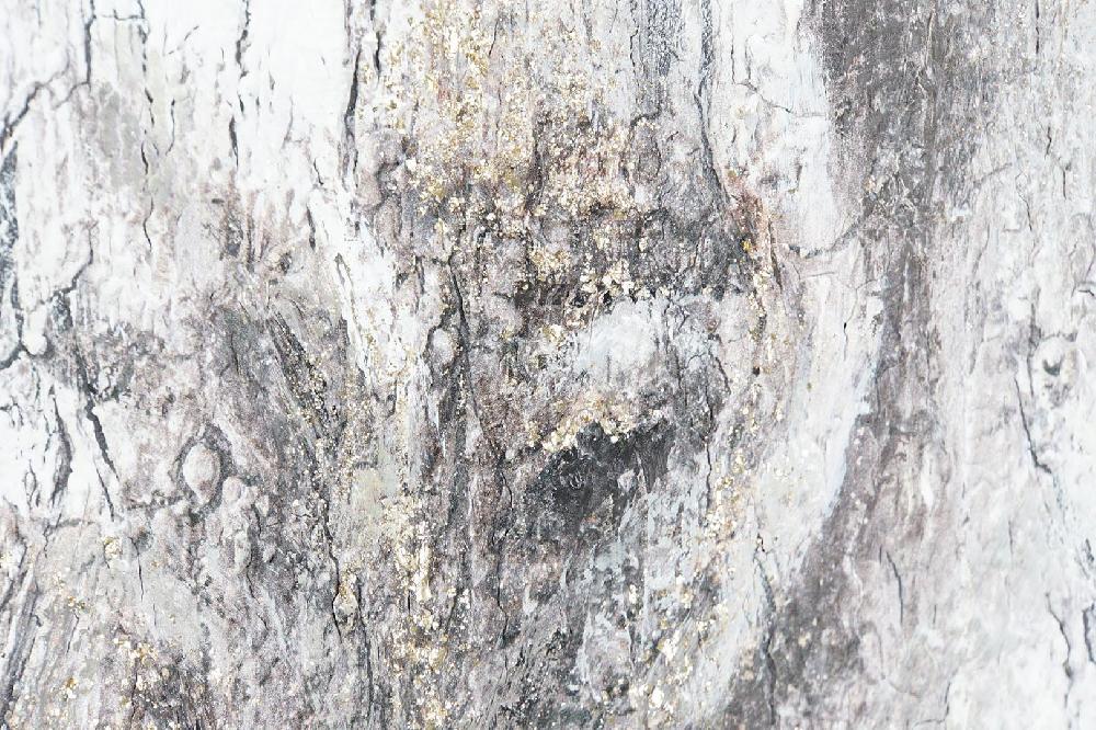 Dekodonia Set Dos Cuadro Lienzo Pino Elefante