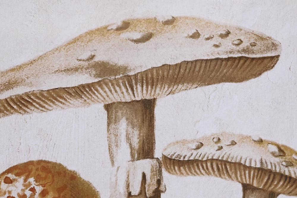 Dekodonia SET DOS CUADROS BAMBÚ SETAS