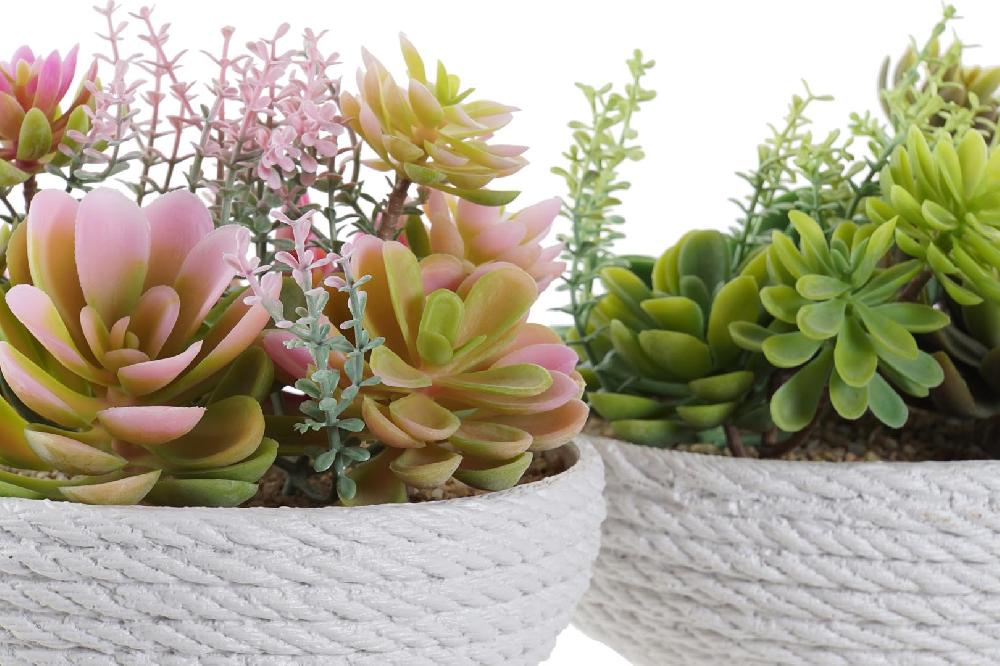 Dekodonia SET DOS PLANTAS ARTIFICIALES