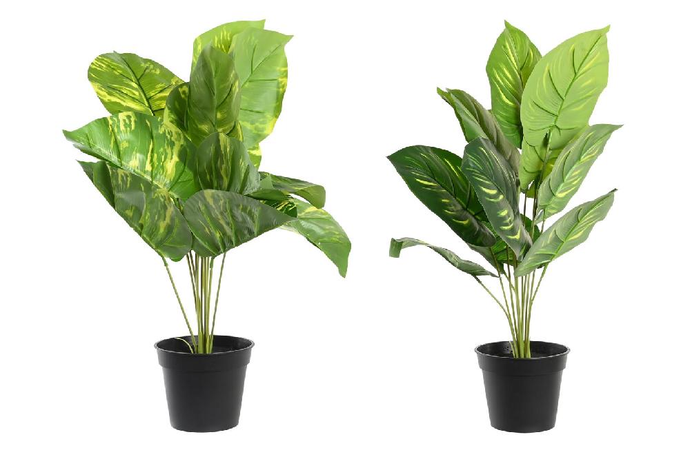 Dekodonia SET DOS PLANTAS ARTIFICIALES