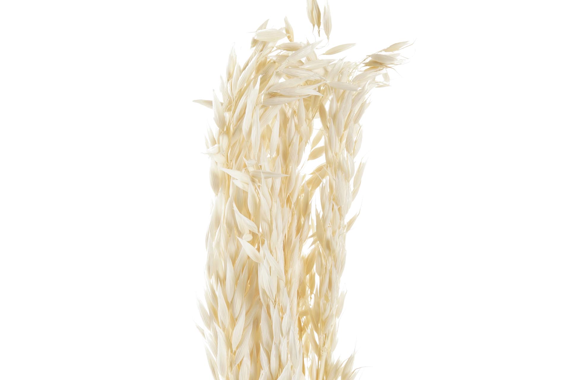 Dekodonia Pack De 3 Ramos Flor Seca 8x3x57 Avena Beige