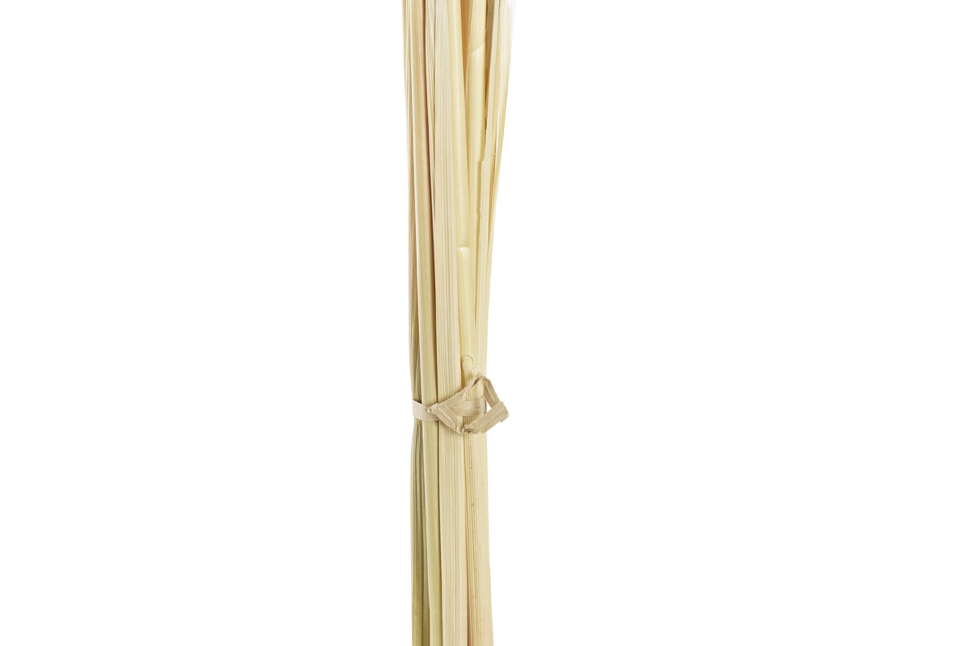 Dekodonia Pack De 3 Ramos Flor Seca 8x3x57 Avena Beige