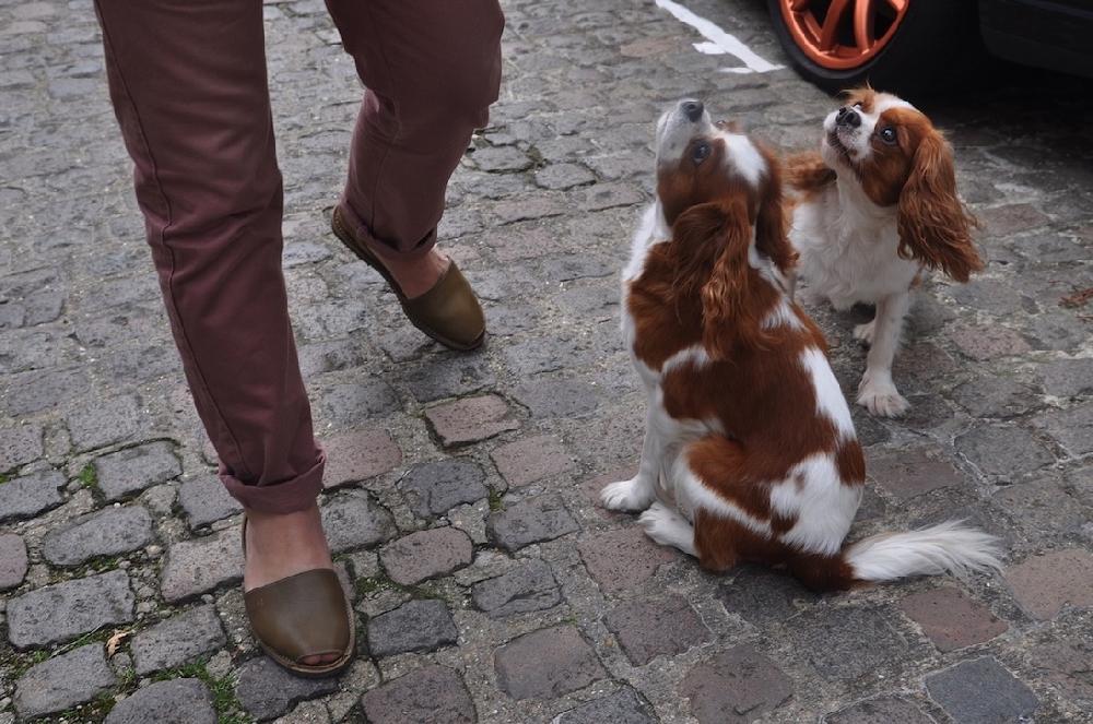 Del Rio London DIFFUSION LINE Mono By DR - KHAKI