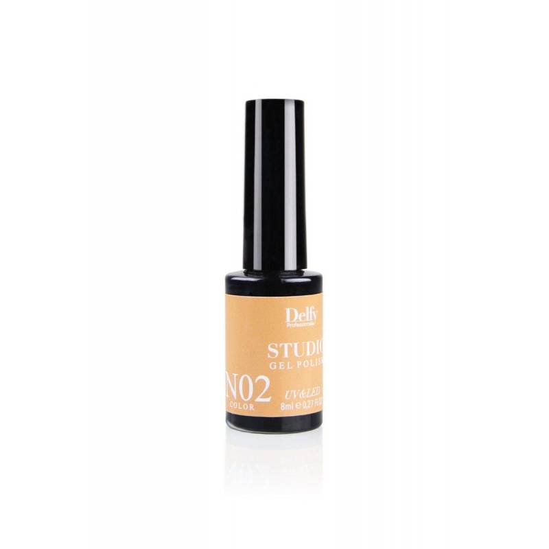 Delfy Studio Gel Polish 02