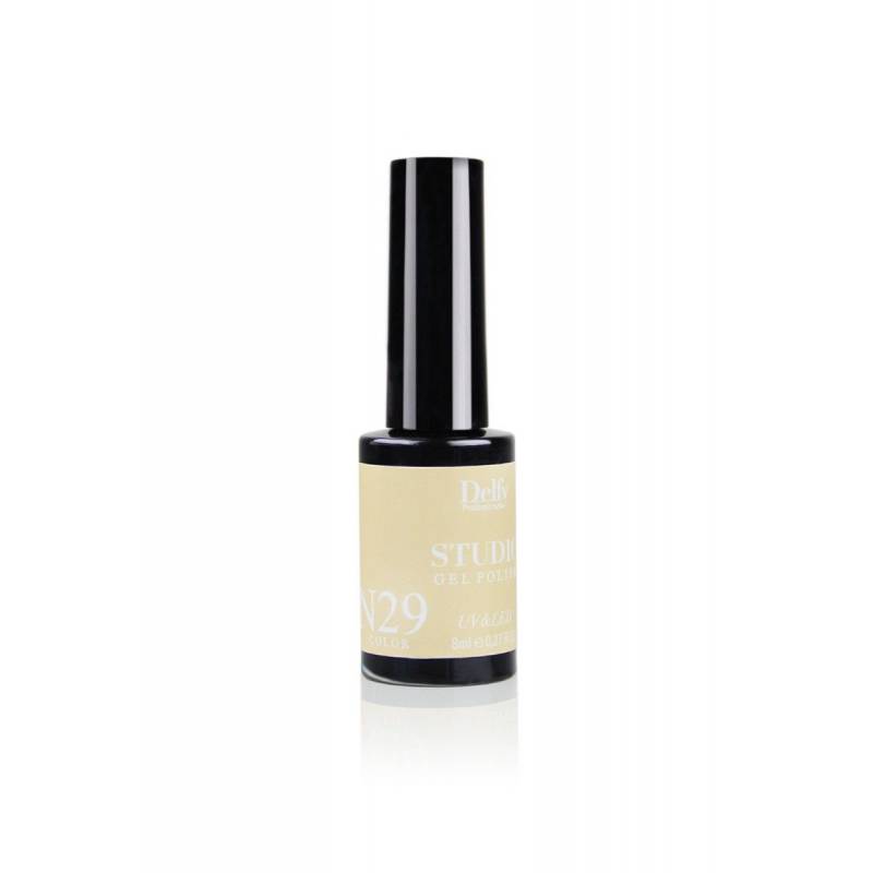 Delfy Studio Gel Polish 29