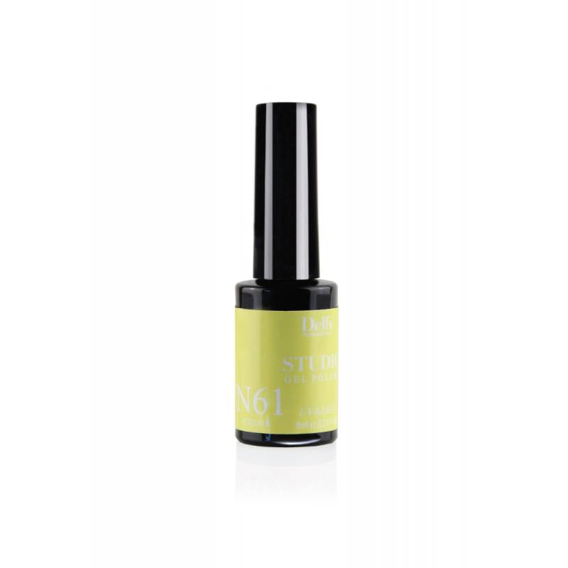 Delfy Studio Gel Polish 61