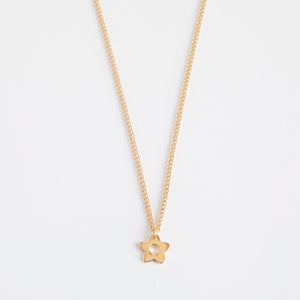 Dlirioshop Collar Kya