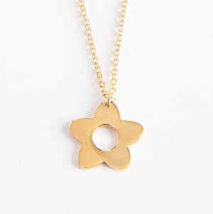 Dlirioshop Collar Kya