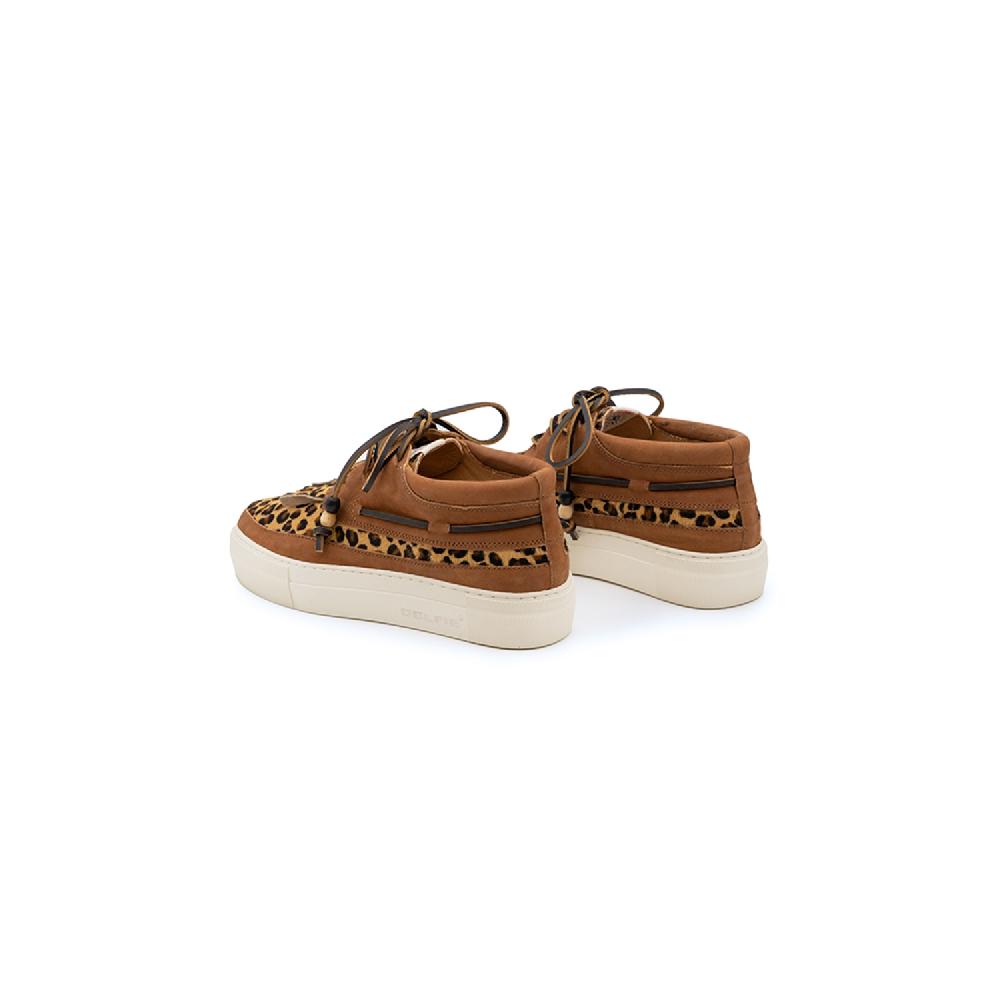 Dolfie MOE 1 - LEOPARD