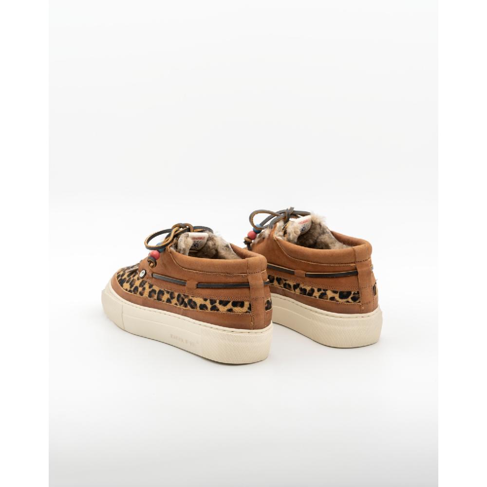 Dolfie MOE F 1 - LEOPARD