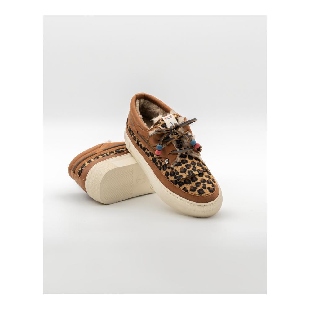 Dolfie MOE F 1 - LEOPARD