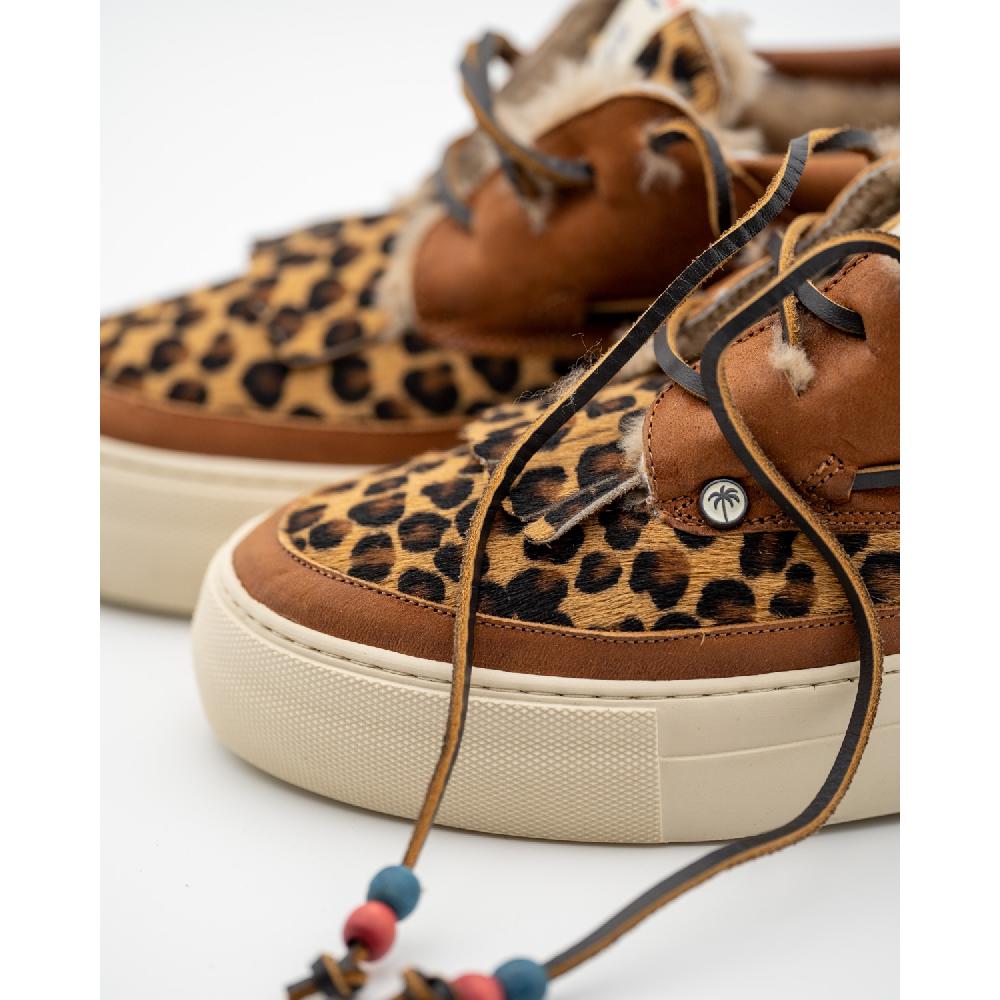 Dolfie MOE F 1 - LEOPARD