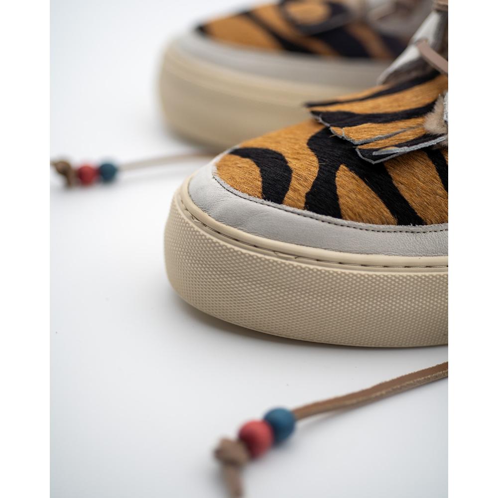 Dolfie MOE F 3 - ZEBRA