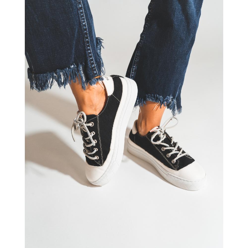 Dolfie NIRVANA 1 - THC