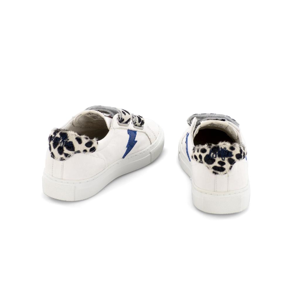 Dolfie STARMAN KIDS 4 - ELITA