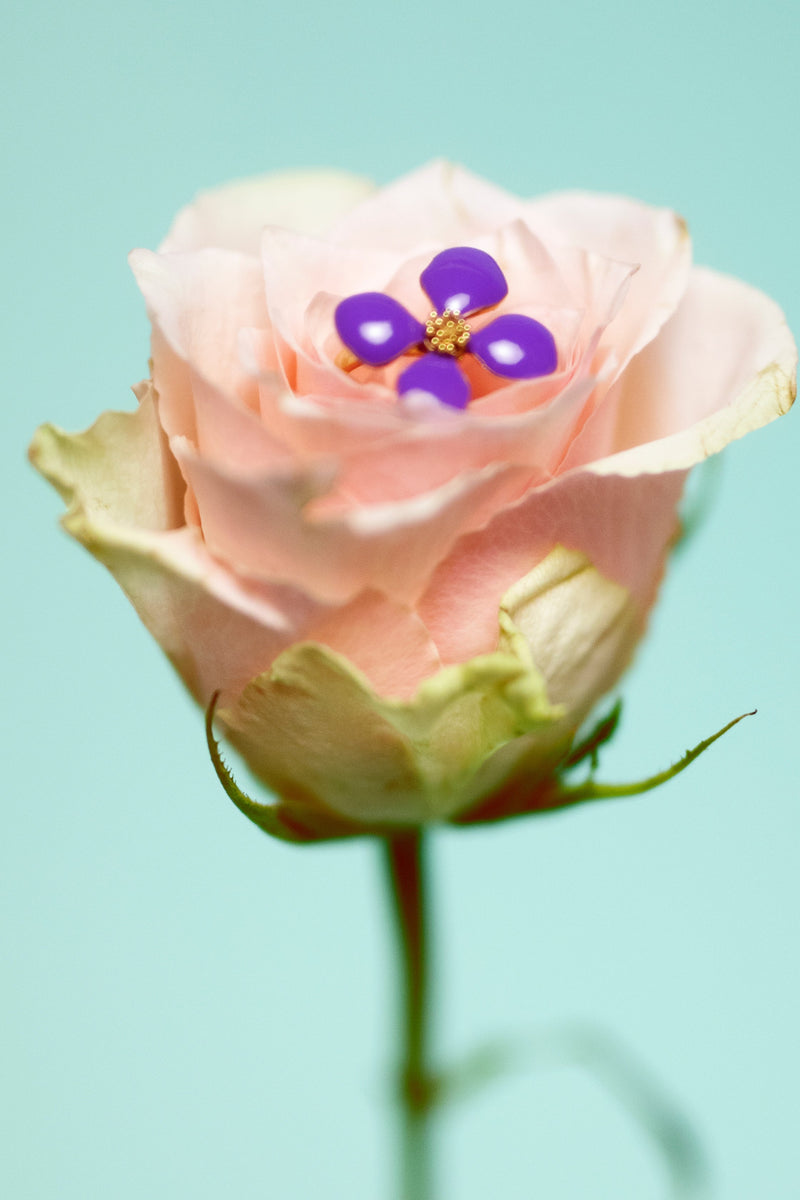 Dolores Promesas Anillo Cassia Lila