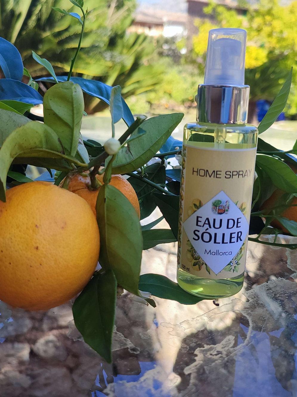 Eau de sóller Ambientador Home Spray 100 ml