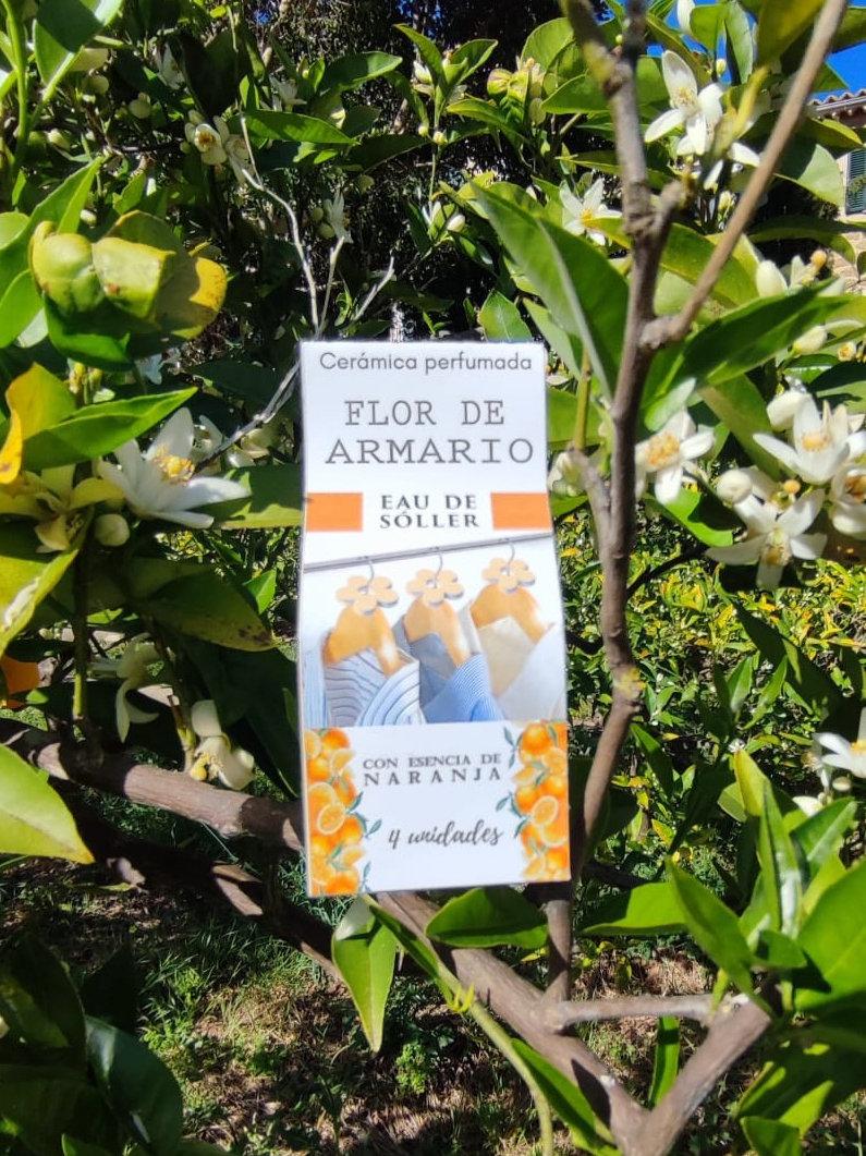 Eau de sóller Flor De Armario