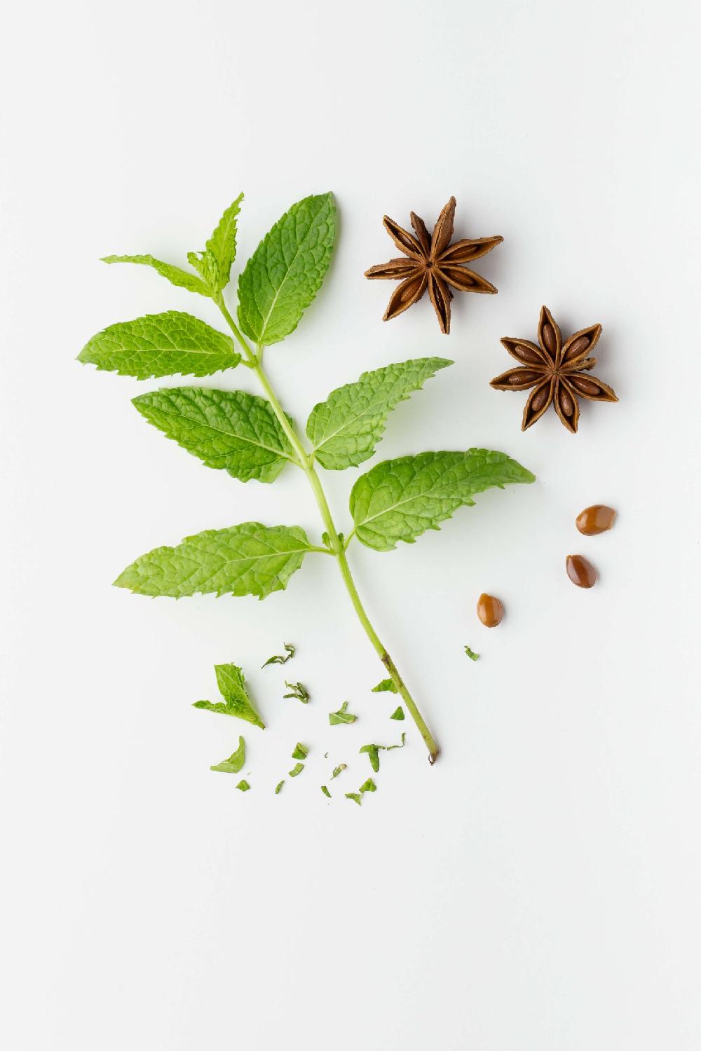 Ecoalf MOISTURISING LIP BALM REFILL