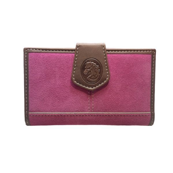 El caballo Billetera el caballo