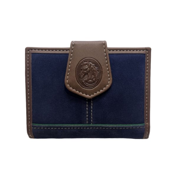 El caballo Billetera el caballo