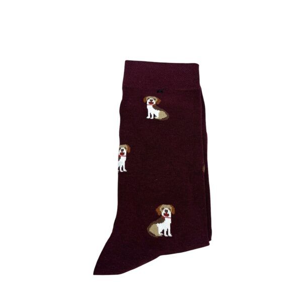 El caballo Calcetines perros