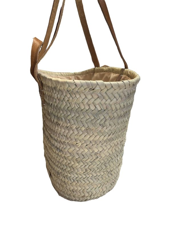 El Caballo Capazo Beatriz