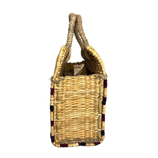 El Caballo Capazo Daniela Pequeño