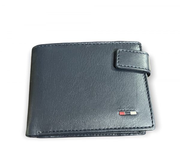 El caballo Cartera americano