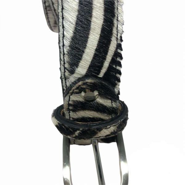 El Caballo Cinturón Cebra