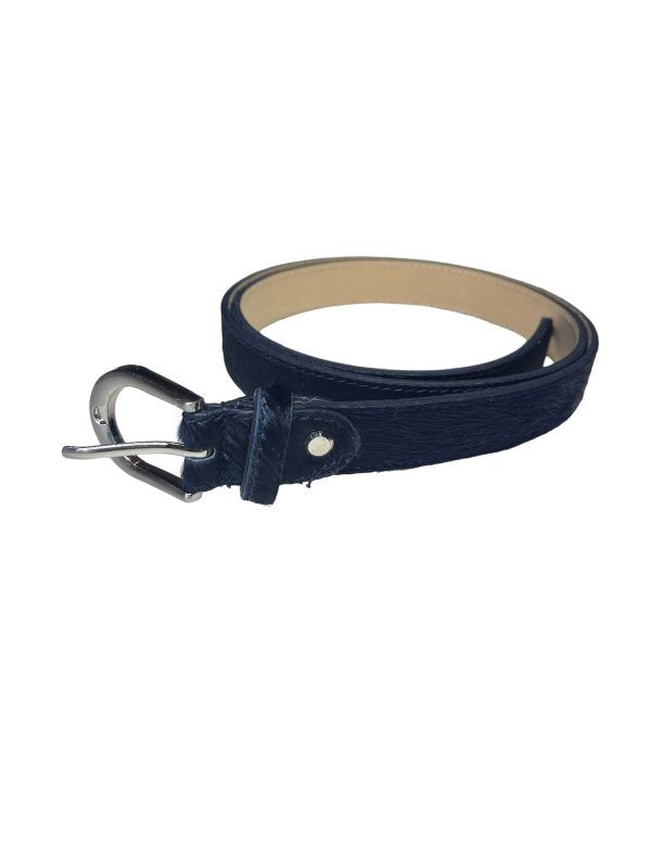 El caballo Cinturón pelo