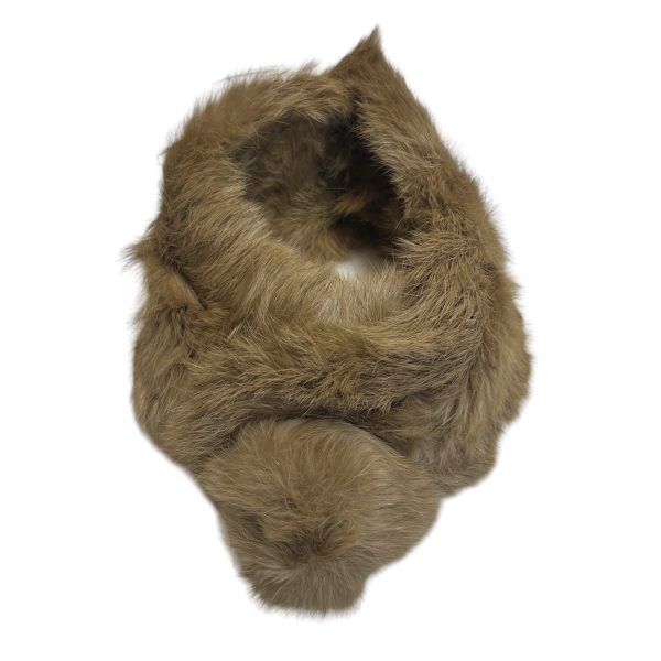 El caballo Cuello de pelo