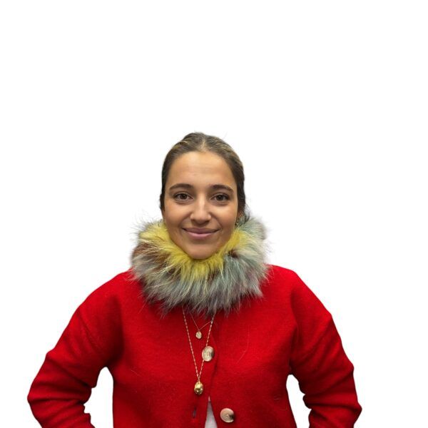 El caballo Cuello de piel multicolor