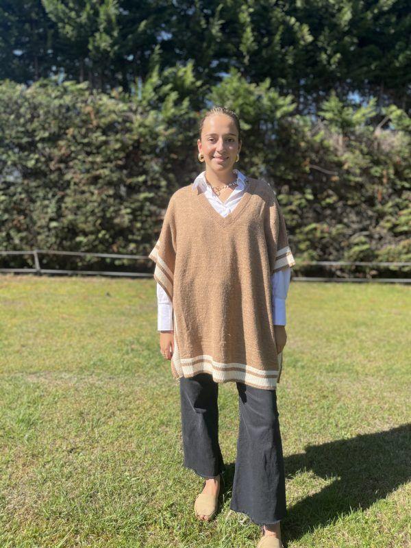 El caballo Jersey Nilo