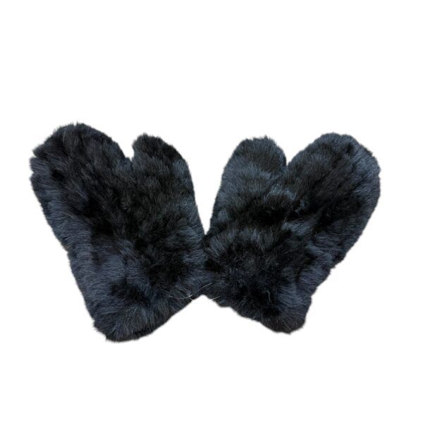 El caballo Manoplas de pelo