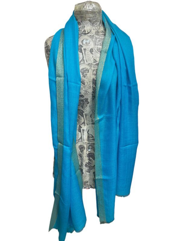 El caballo Pashmina Naroa