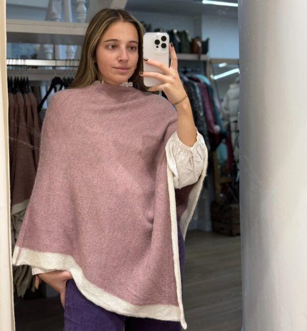 El caballo Poncho bicolor punto