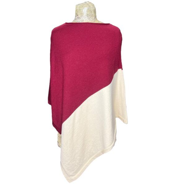 El caballo Poncho bicolor