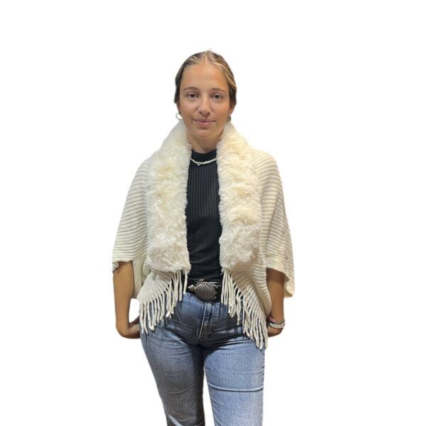 El caballo Poncho de pelo