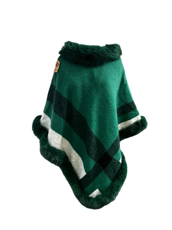 El Caballo Poncho Dolores