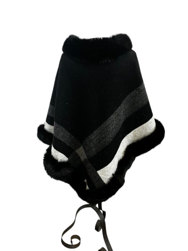 El Caballo Poncho Dolores